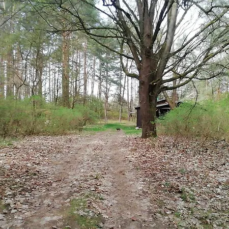 Przystan U Zosi 펜션 *