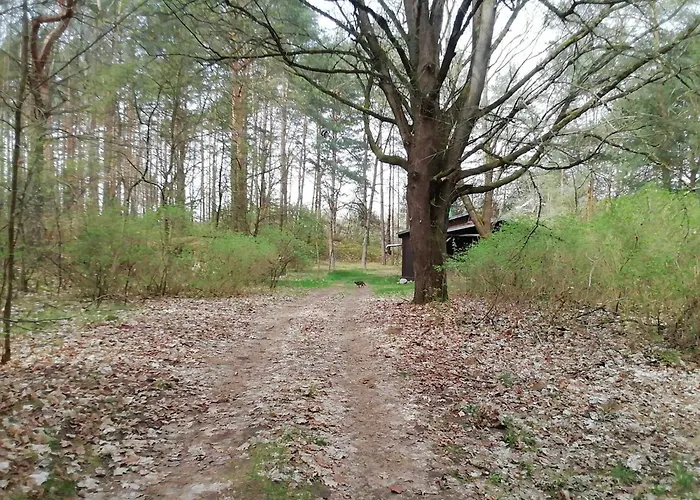 Przystan U Zosi 펜션 *